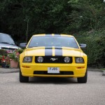Mustang Screaming Yellow